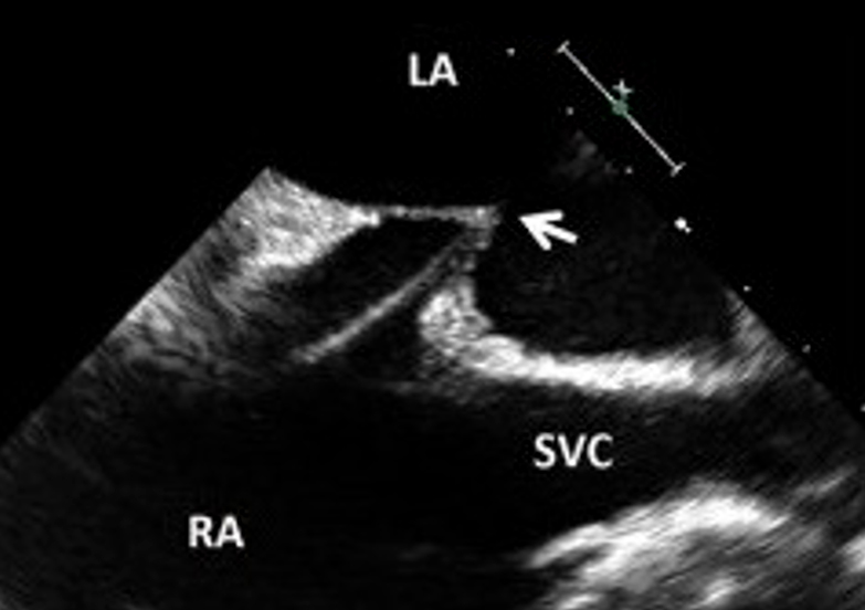 Ultrasound Clinic