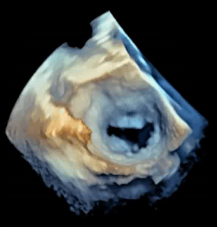 Ultrasound Clinic